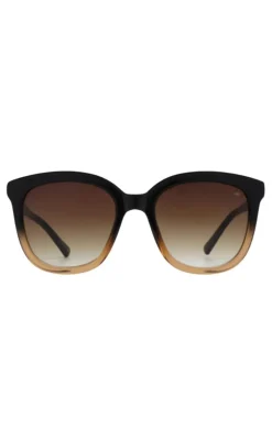 Hot Solbriller - Billy - Black/Brown Transperent Solbriller