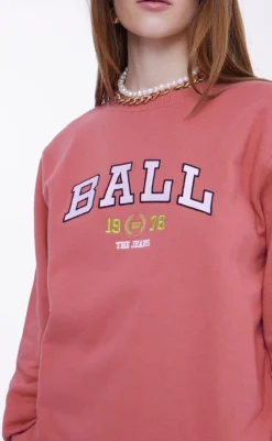 Sale Sweatshirt -  L. Taylor - Rose Dawn Striktrøjer & Sweat