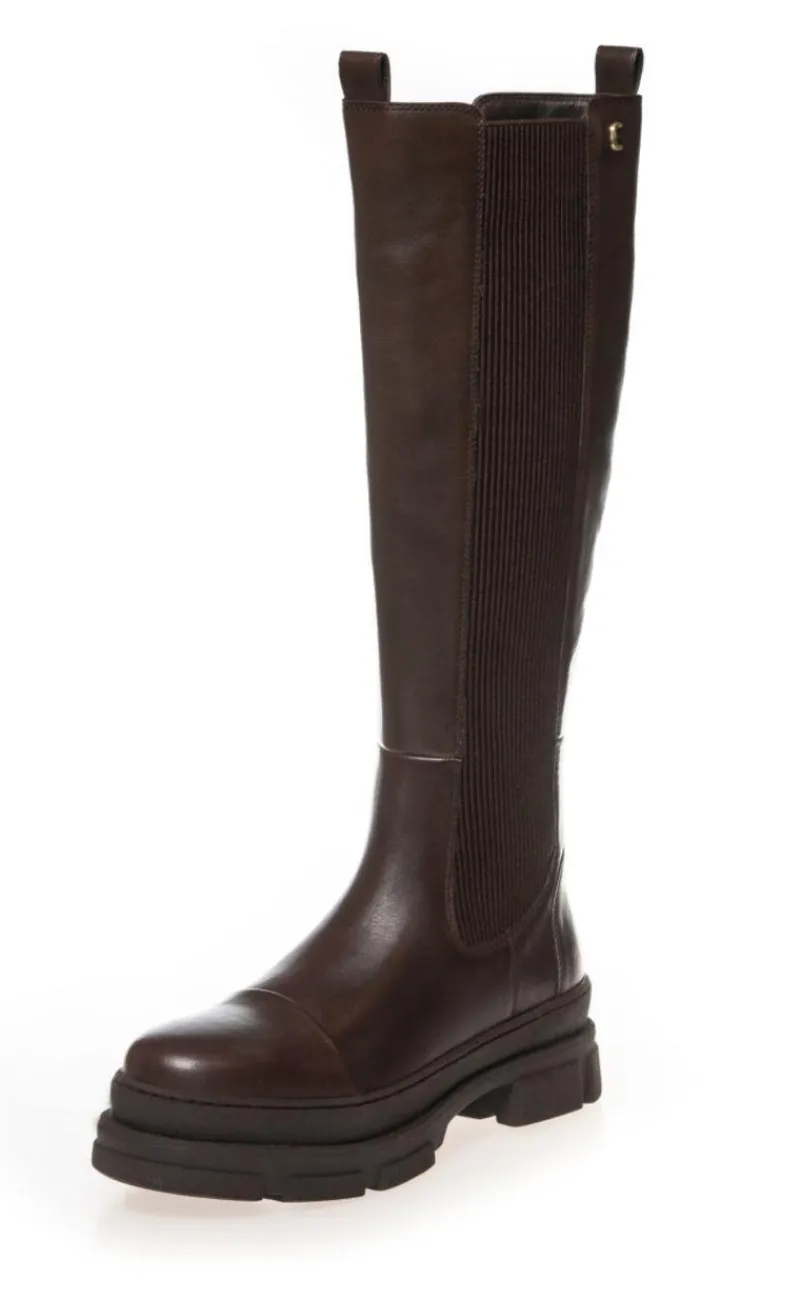 Hot Støvle - Follow Me And More - Dk Brown Støvler