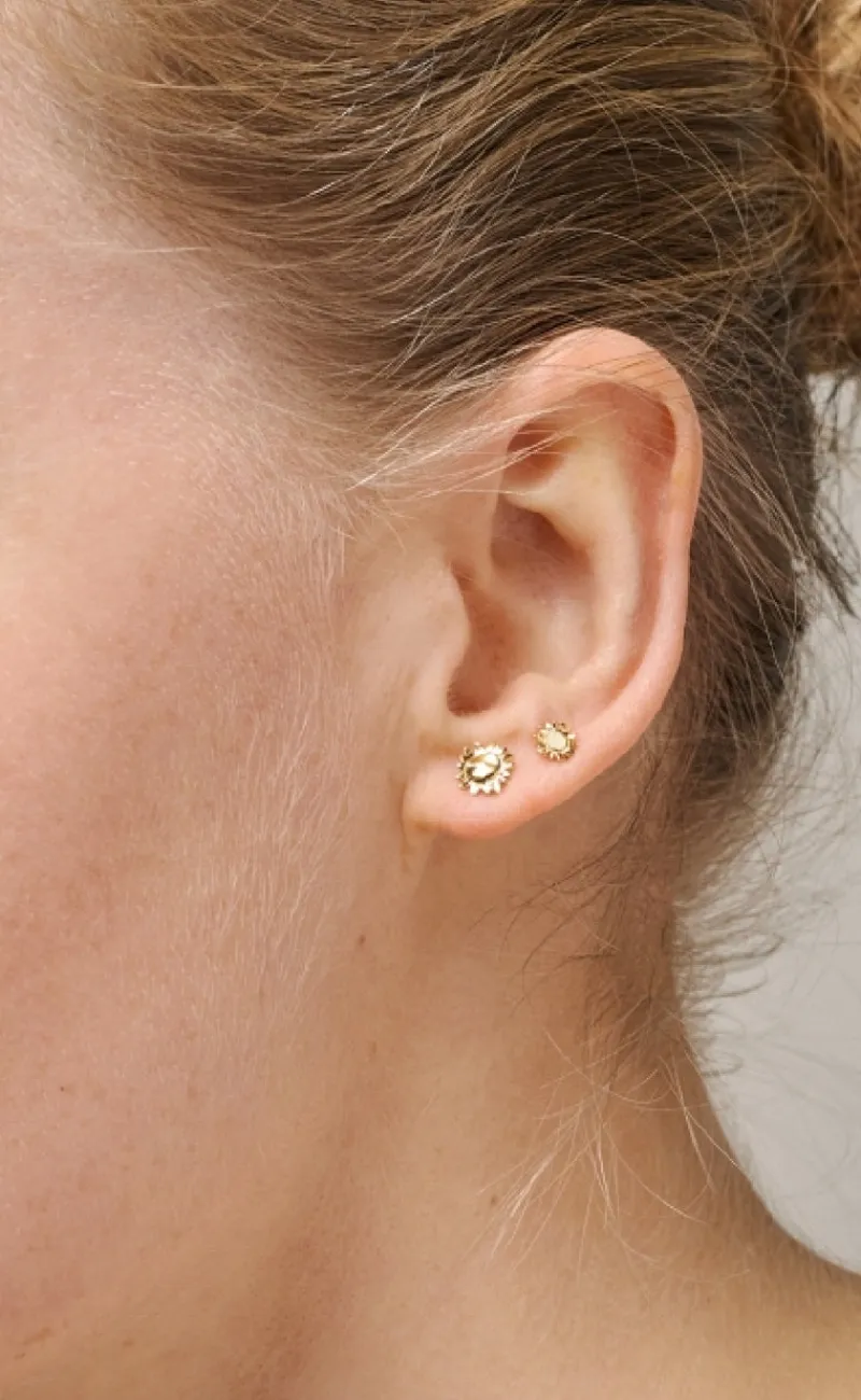 Hot Øreringe - Studs Sunshine - Gold Colour Smykker