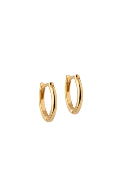 New Øreringe - Small Classic Hoops - Gold Colour Smykker