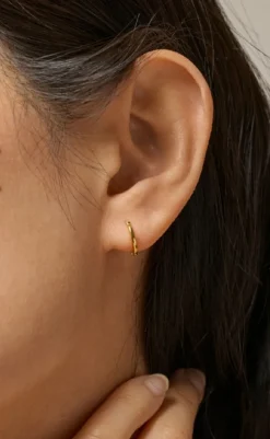 New Øreringe - Small Classic Hoops - Gold Colour Smykker