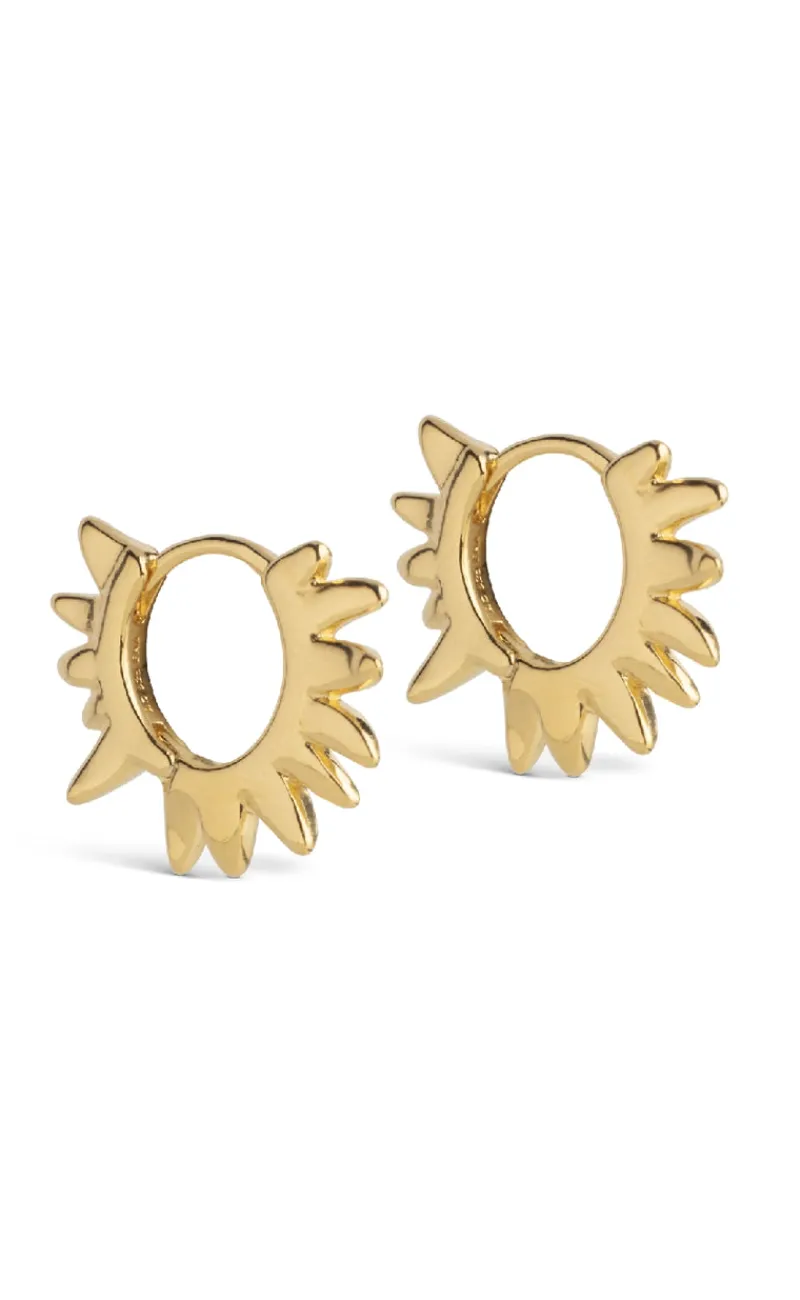 Øreringe - Sunshine Leaves - Gold Colour Smykker