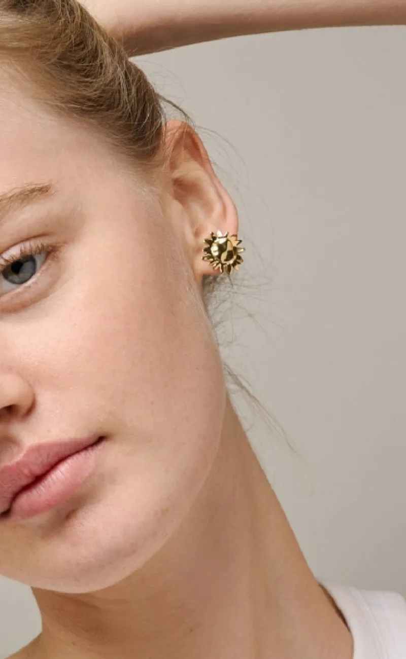 Online Øreringe - Studs Large Sunshine - Gold Colour Smykker