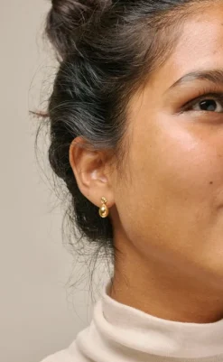 Clearance Øreringe - Poe -  Forgyldt Smykker