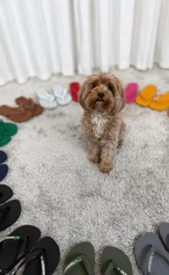 Klipklappere - Brasil Logo - Rose Gold Sandaler