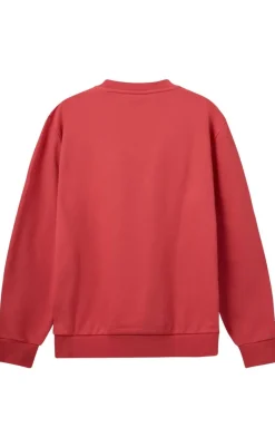 New Sweatshirt - Logo - Salsa Striktrøjer & Sweat