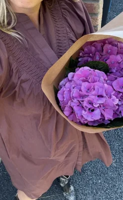 Hot Love & Divine Kjole - Love1309 - Mocha Kjoler