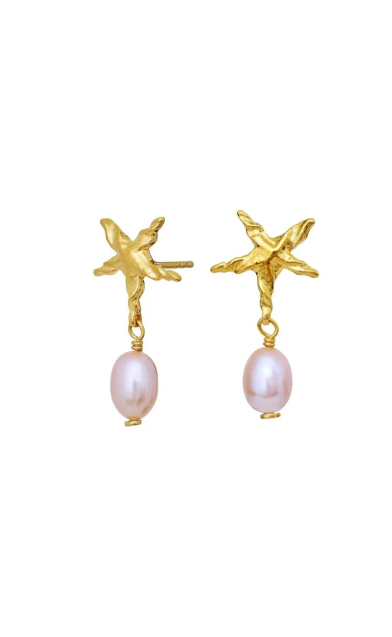 Online Øreringe - Sandie - Gold Colour Smykker